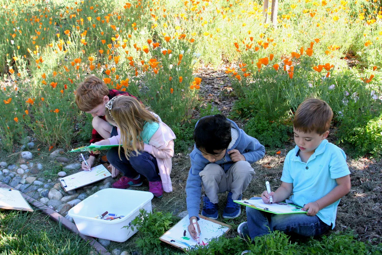 Small group instruction
